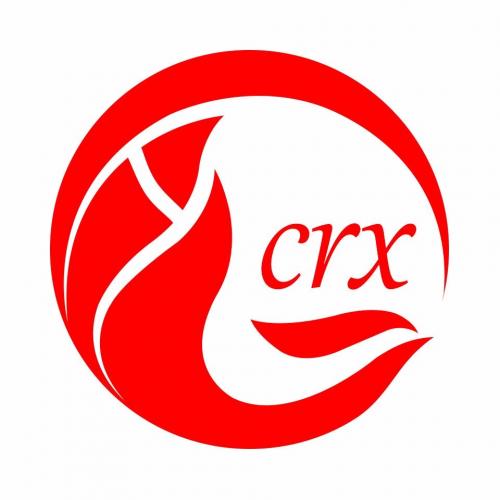 Shenzhen Canyue Xing Electronic Co., Ltd.