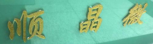 Shenzhen Shunjing Micro Technology Co., Ltd.