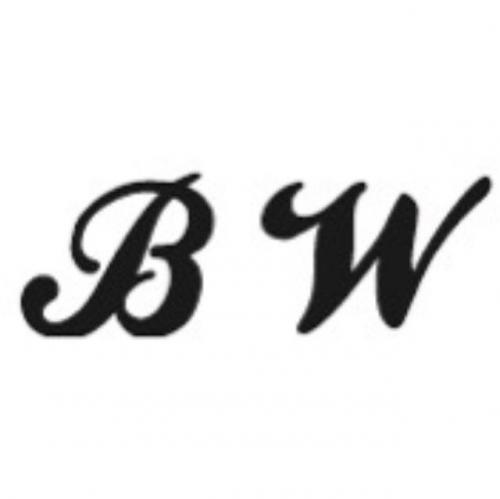 Shenzhen Baywande Electronics Co., Ltd.