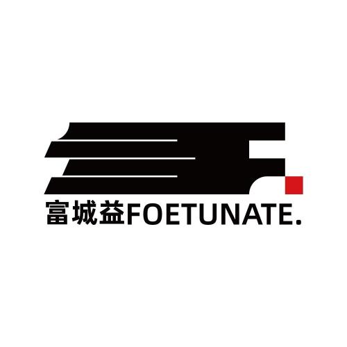 Shenzhen Fuchengyi Electronic Co., Ltd.