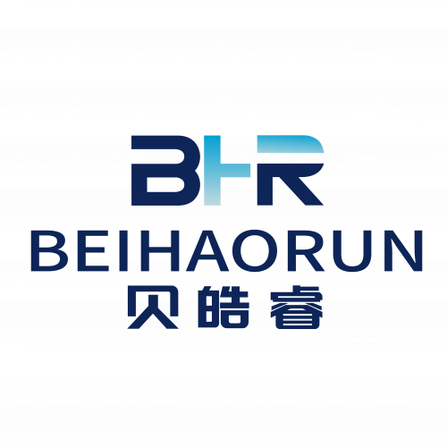 Shenzhen Bayao Rui Technology Co., Ltd.