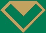 Shenzhen Golden Palm Semiconductor Co., Ltd.