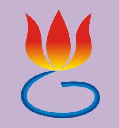 Shenzhen Guangyou Electronics Co., Ltd.