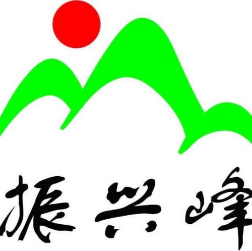 Shenzhen Zhenxing Feng Technology Co., Ltd.