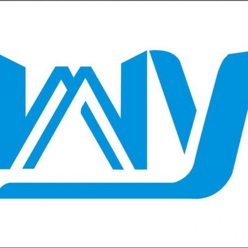 Shenzhen Weinuo Yuan Electronic Technology Co., Ltd.