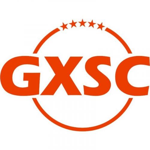 Guoxin Si辰 (Shenzhen) Technology Co., Ltd.