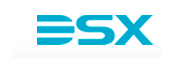 Shenzhen Dashi Xiong Electronics Development Co., Ltd.