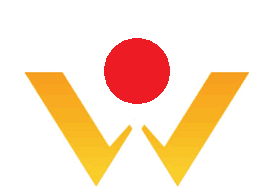 Shenzhen Weishengye Technology Co., Ltd.