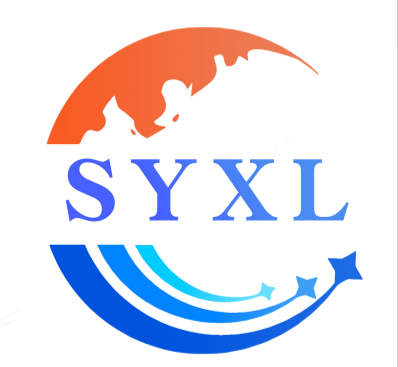 Shenzhen Shengyixinlong Technology Co., Ltd.