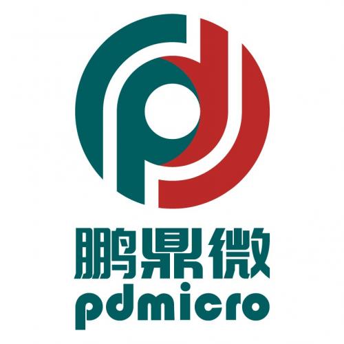 Shenzhen Pengding Micro Technology Co., Ltd.