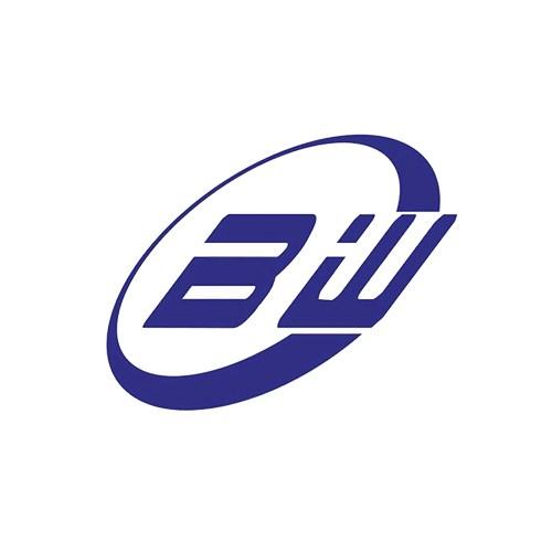 Shenzhen Sheng Baiwei Technology Co., Ltd.