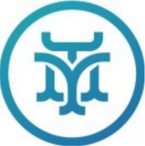 Shenzhen Tianyi Electronics Technology Co., Ltd.